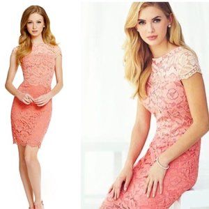 Antonio Melani Ombre Coral Lace Sheath Dress